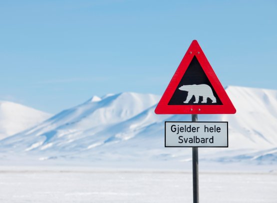 Svalbard vintersemester