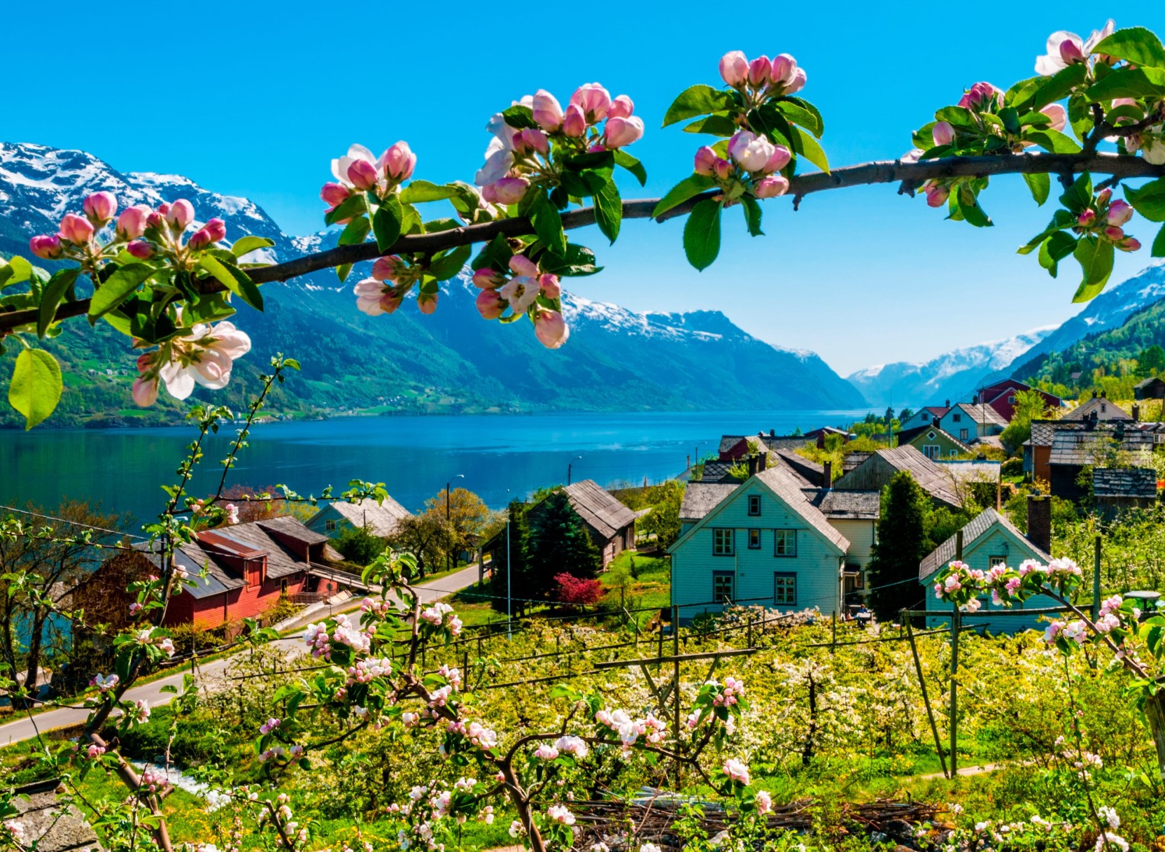 Norska Fjordar & Glaciärer