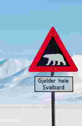 Svalbard vintersemester