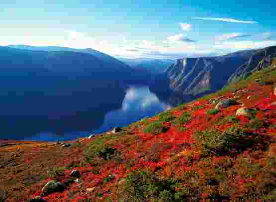 Äventyr på Sognefjorden