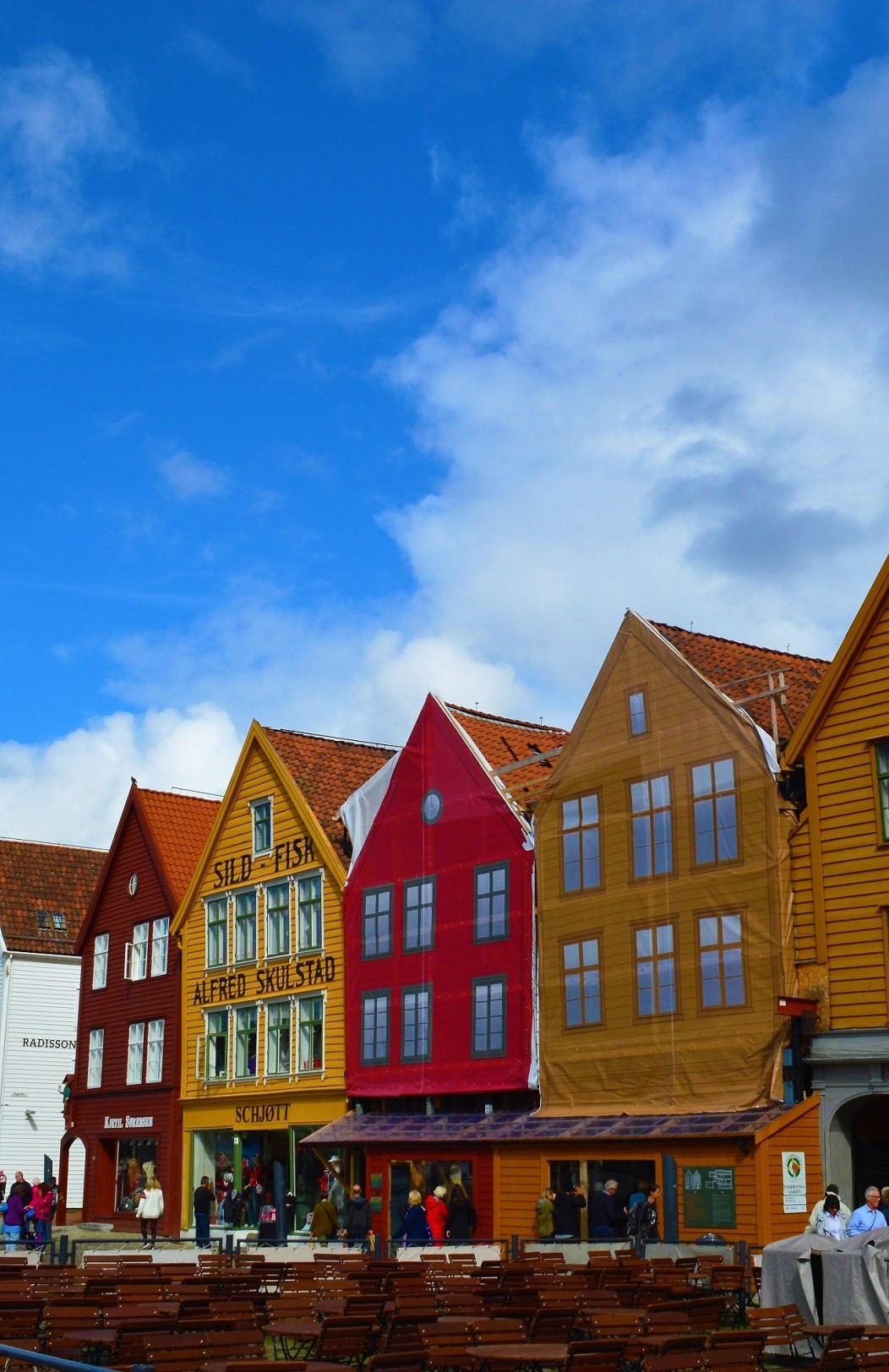 Bergen, Flåmsbanan & fjordkryssning