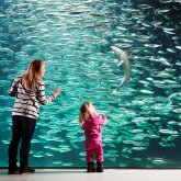 2D: Atlanterhavsparken Akvariet & Aksla fjäll